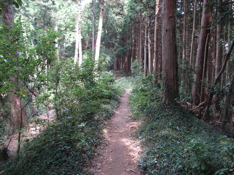 20161014hike (72)